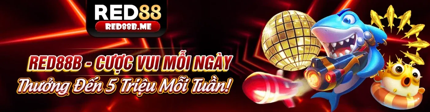 Các nguyên tắc cốt lõi của GDPR tại Xin88 Club